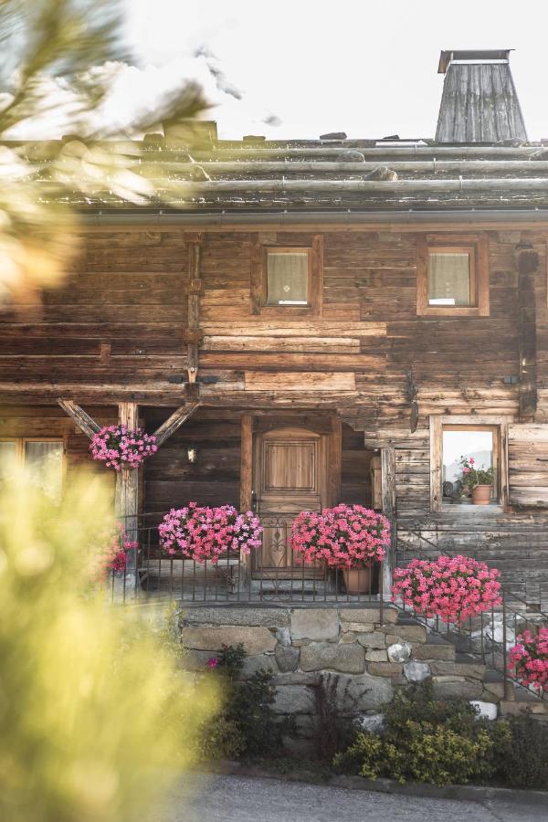 La Ferme Du Var لا كلوساز المظهر الخارجي الصورة